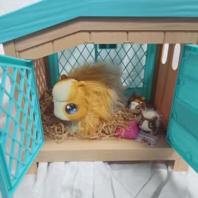 "Little Live Pets" MAMA GUINEA PIG with Hutch House, Hay + 2 Surprise Babies + 1 x Present (Sunglasses) & 1 x Empty Present Box in Good Physical Condition!
