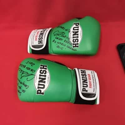 Punish Fight Gear 12 oz Boxing Gloves Green Autographed Caley Reese 6 time world champ Thai kick boxer
