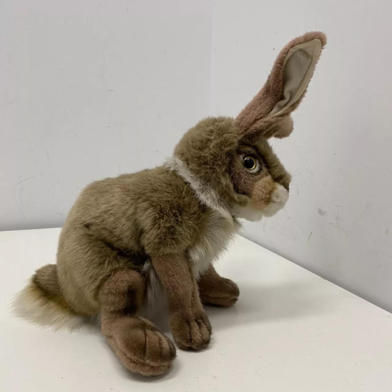 Toy Jack Rabbit Plush Realistic Jack Rabbit Plush Toy(s) - Used Very Good | Salvos Stores