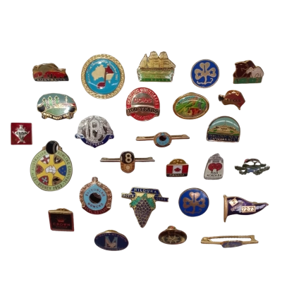 Small Lot of Assorted Pins