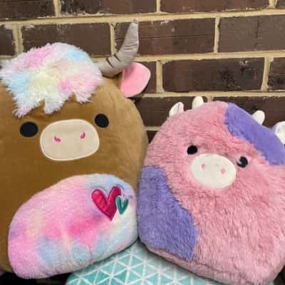 Patty Cow & Candela The Highland Cow