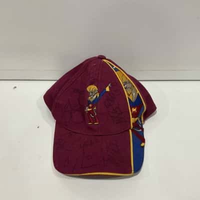 Autographed lions cap AFL