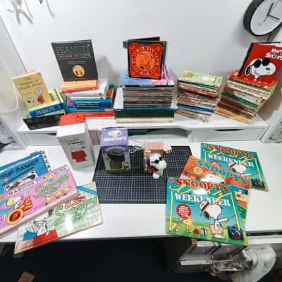 81x Snoopy Peanuts Mega Mega Bundle Landline Phone Merch Books Vintage 