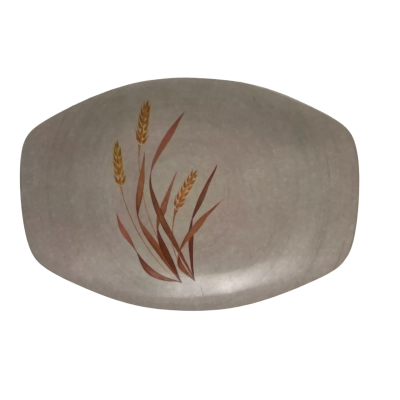 Vintage Bessemer Melamine Tray. 30 x 20 cms