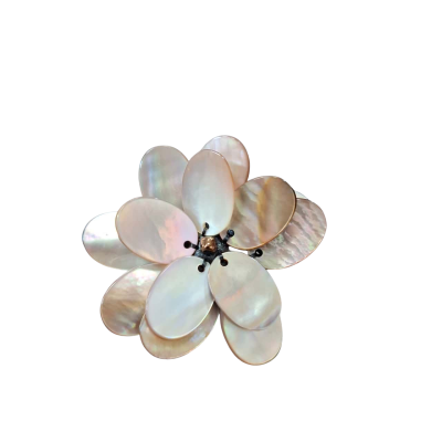  Womens  Shell and leather back Brooch 