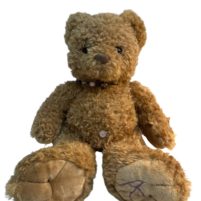 The Christopher Collection Teddy Bear