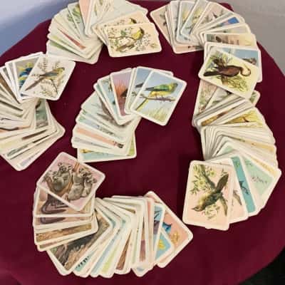 Tucker field Teas Cards +160