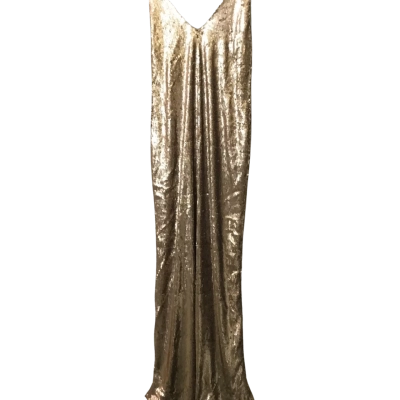 Toby Heart Ginger Womens  sequins Size XS Maxi Dress Beige / Gold 