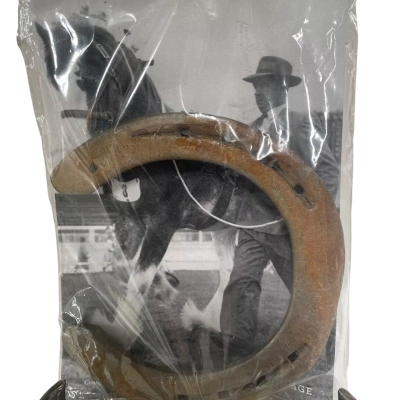 RASV souvenir lucky horseshoe 2017