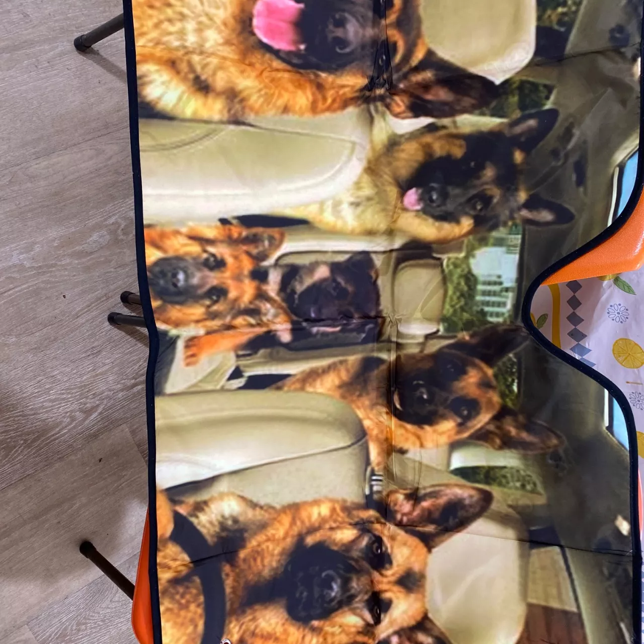 Image Tester