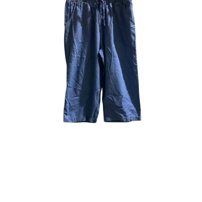 Millers Womens  Size 18 Shorts