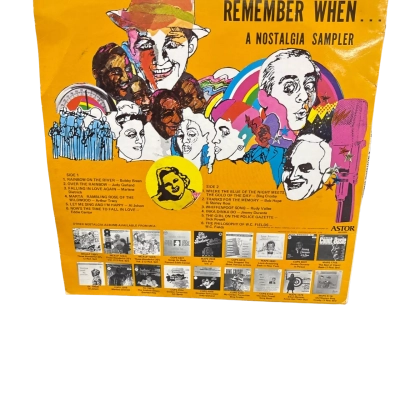 REMEMBER WHEN VINYL RECORD LP MCAS-002