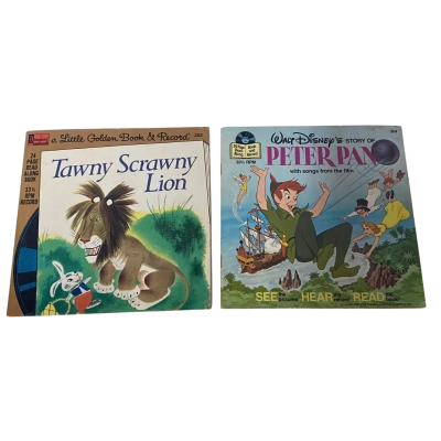 2 Vinyl Record Bundle 