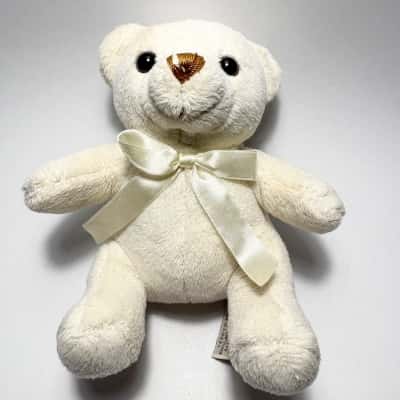 Teddy & Friends Cute 15cm Plush Teddy