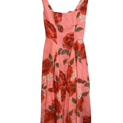 Saints + Secrets dress BNWT Size XS Floral / Pink  