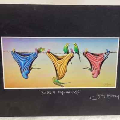 John Murray Mounted Print - “Budgie Smugglers”