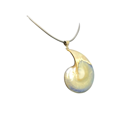 Womens 46cm Necklace/Nautilus Shell Pendant Black/Blue/Sterling Silver 925/White