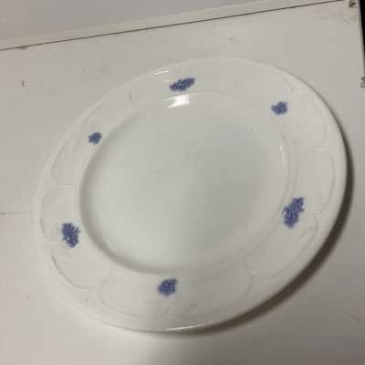 Vintage adderley chelsea  plate