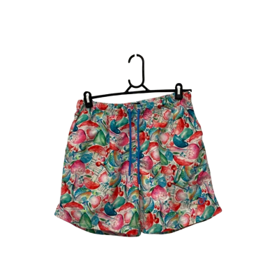 Riley Adams Mens Size L Multicoloured shorts