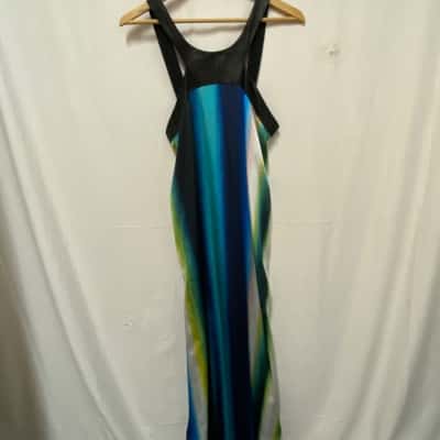 Wayne Cooper Womens Size 12 Maxi Dress