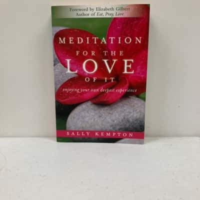 Meditation For The Love Of It 