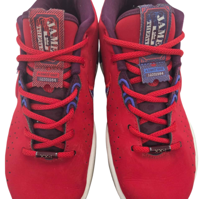 Nike LeBron Size 6