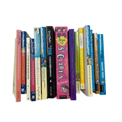 Enid Blyton Book Bundle(15)