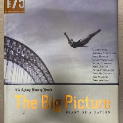 The Big Picture - Diary of a Nation