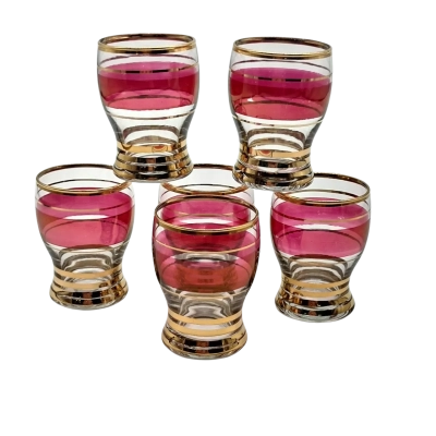 A set of 6 vintage shot glasses cranberry with gold trim