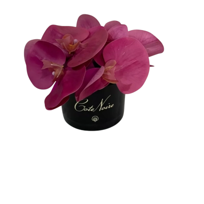 Cote Noise Artificial Orchids  