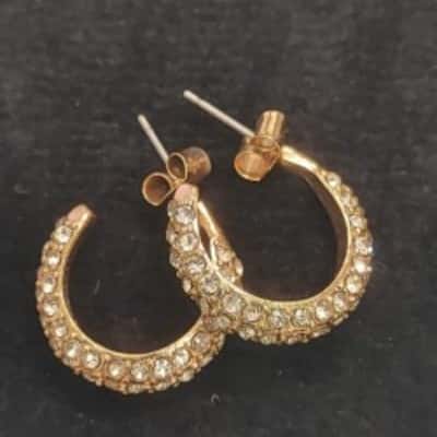 Ladies Fashion Golden Earrings