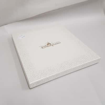 DisneyLand Hong Kong Photo Frame