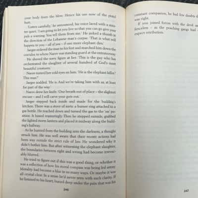 Bear Grylls, Burning angels 