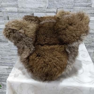 Plush Koala Bear