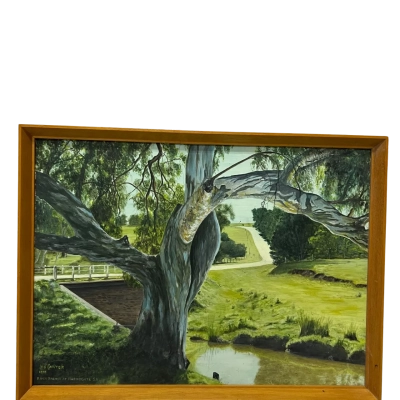 Les Carter 1995 – River Bremer at Harrogate SA – Framed Landscape