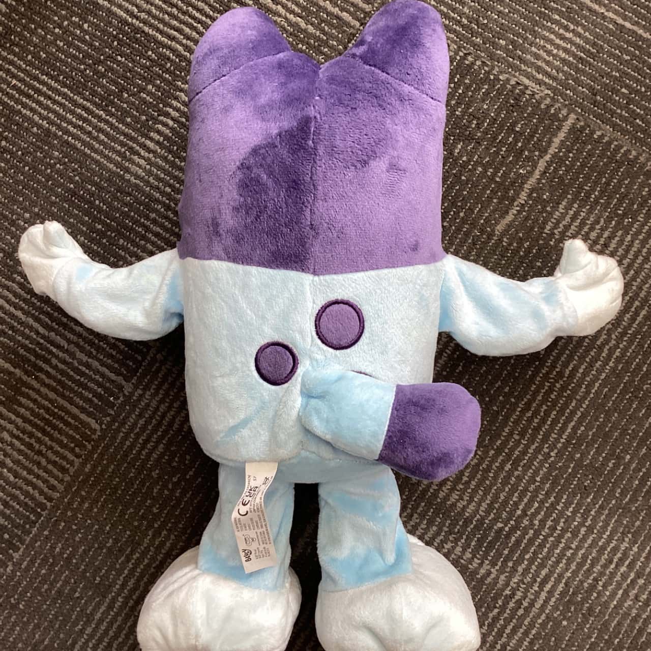 Bluey Dance and Talk