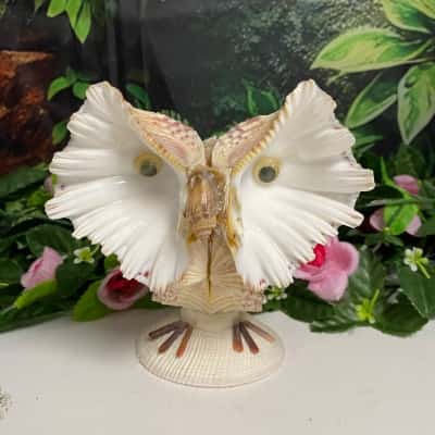 Handmade shell gorgeous owl ornament 