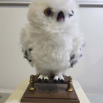 Hedwig on Perch - WORKING 