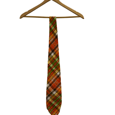 Rembrandt Plaid Cotton Tie