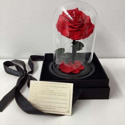 Preserved Rose ???? 