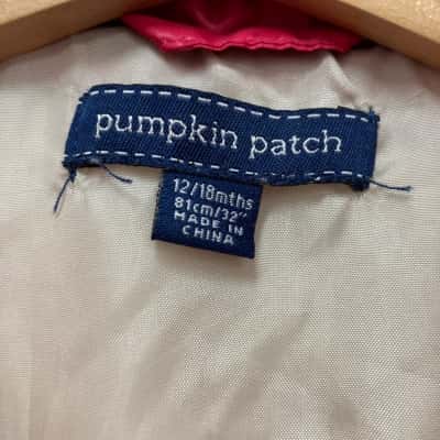 Pumpkin Patch (1) Kids  Size 12-18m Pink  
