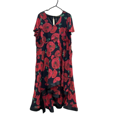 TS POPPY CHIFFON HI-LO DRESS. SIZE 22