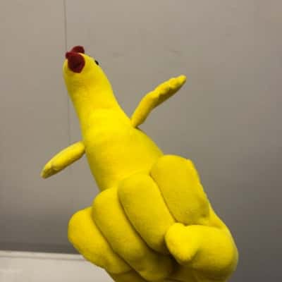 Chicken Glove Right hand