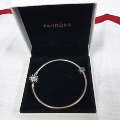 Pandora Silver Fireworks Bangle 