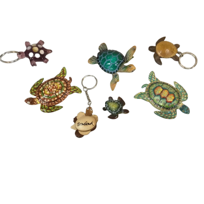 Turtle Magnets and Key Holders x 7