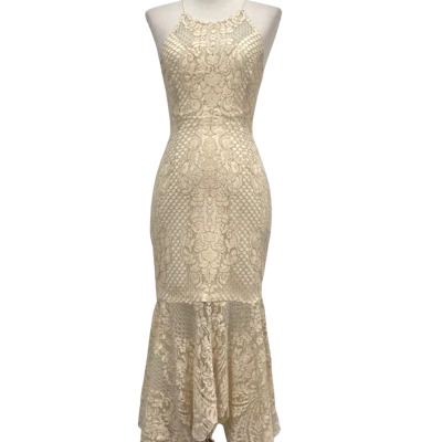 Shona Joy Womens Lace Dress  