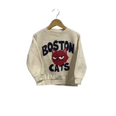 Zara Kids Kids  Size 3 / 4 Boston cats long sleeve sweater 