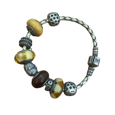 Pandora Womens Bracelet Multicoloured 