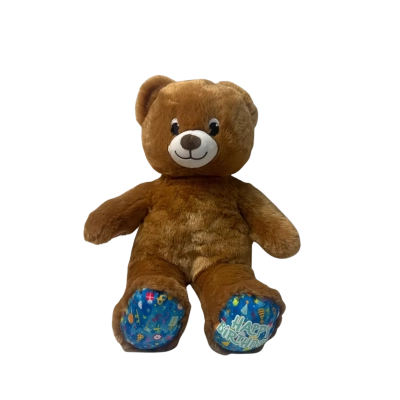 Build-A-Bear Happy Birthday Teddy Bear 