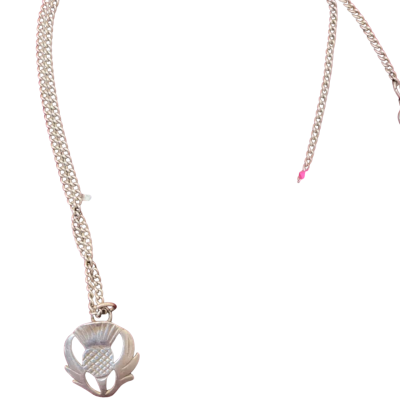 Pendant and Chain Silver